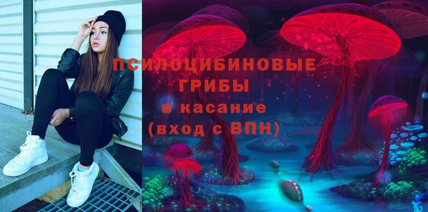 2c-b Лихославль