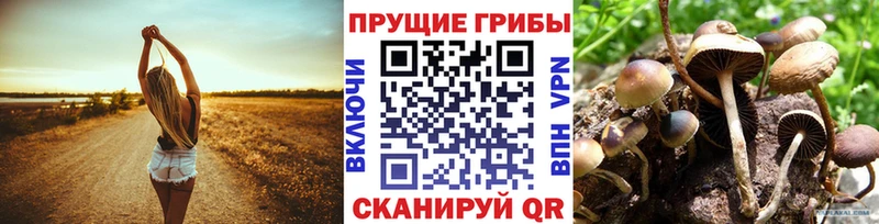 Галлюциногенные грибы прущие грибы  закладка  Орёл 